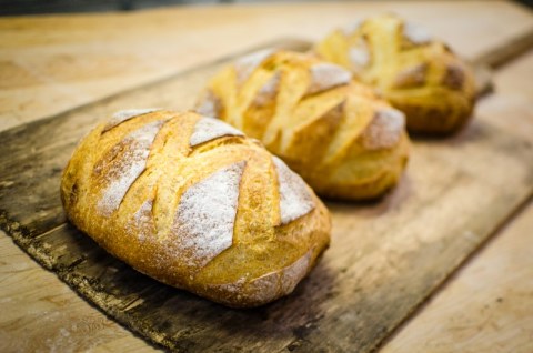 Image Not Found On Media Library